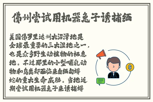 苹果13pro参数配置详细