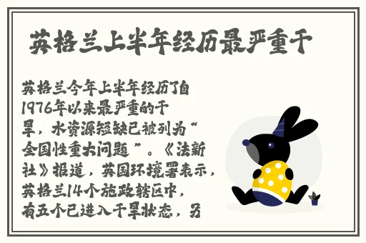 国产精品无码久久综合网